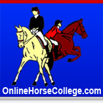 Online Horse College